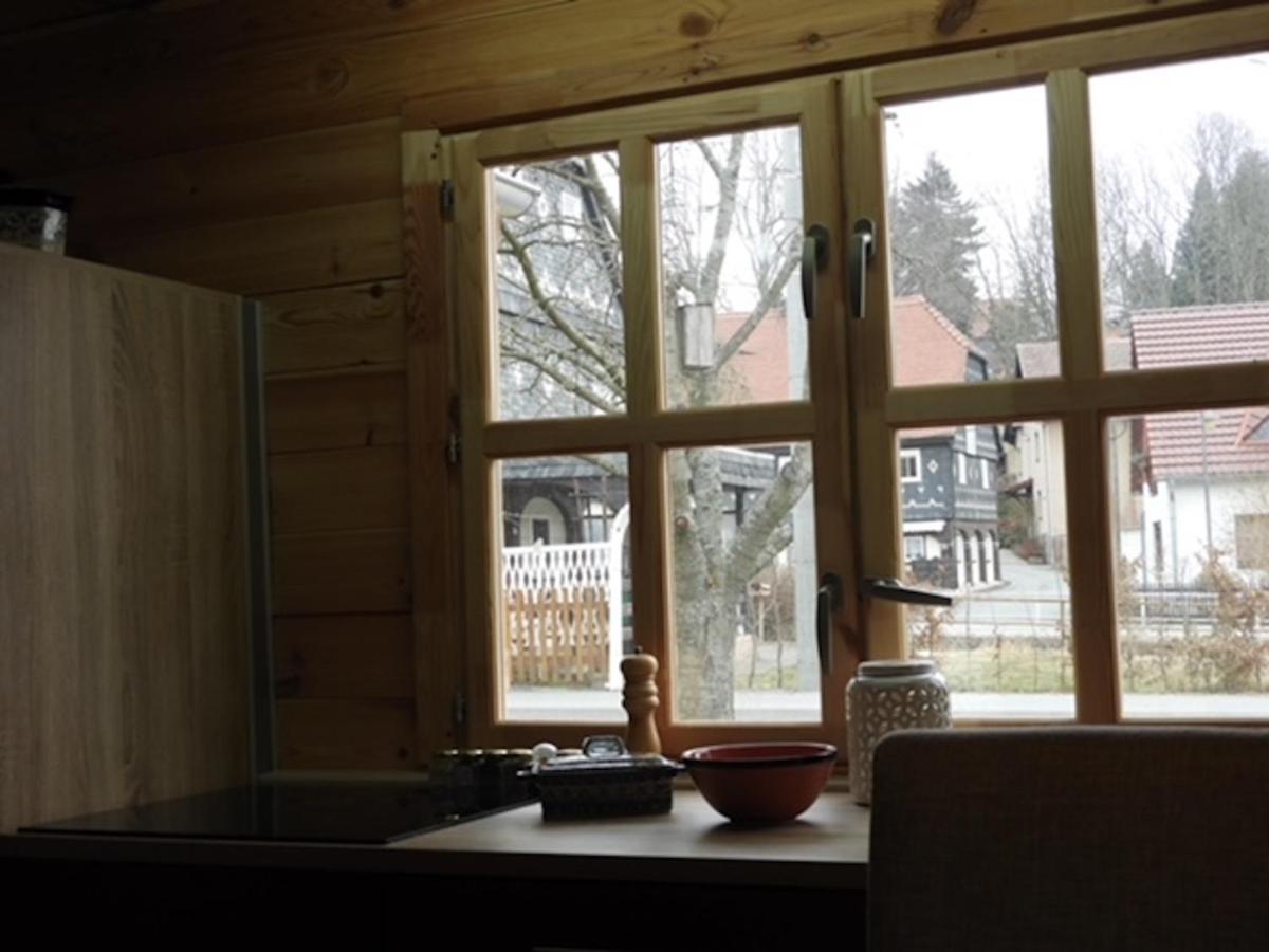 Adler Sommerhaus Oderwitz Екстериор снимка